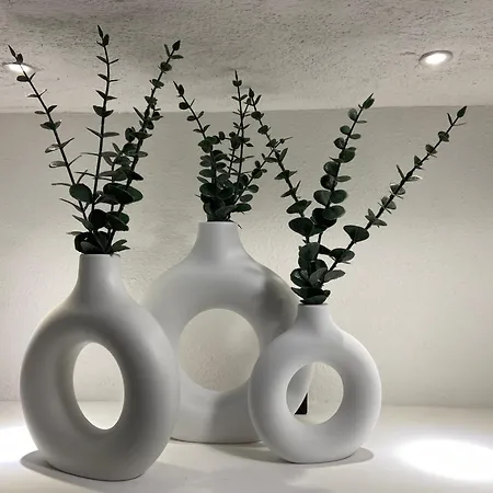 Apartamento Fc Cosenza